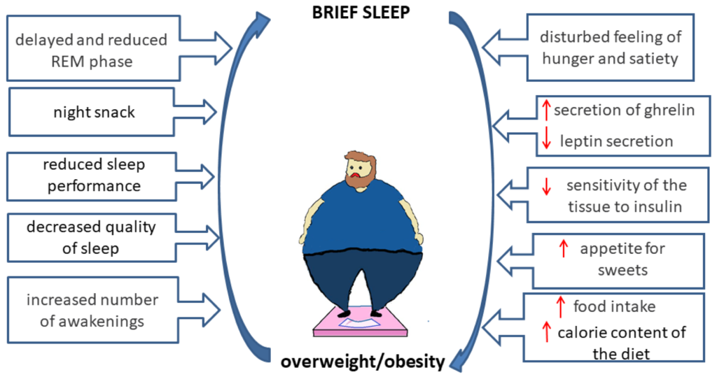 Nutrition And Sleep: Improving Rest And Well-Being