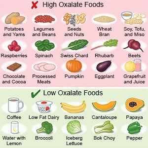 Oxalate Sources