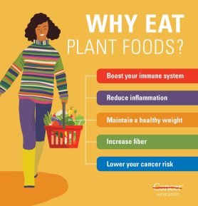 The Benefits Of Plant-Based Nutrition For Health And Well-Being