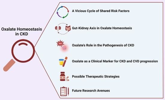 Can Oxalates Influence The PH Balance In The Body?