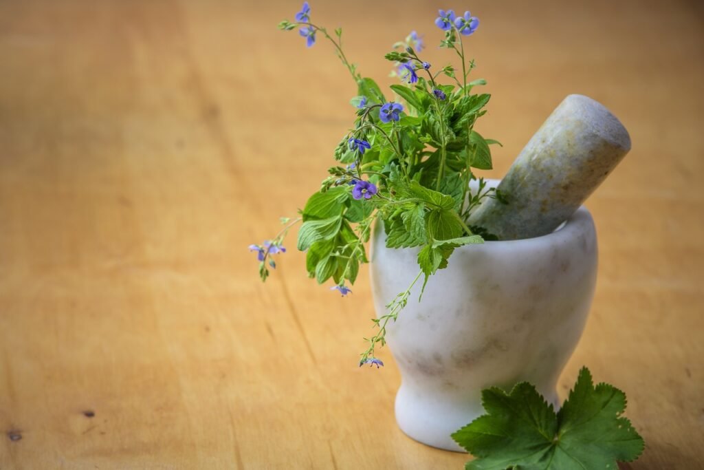 Herbal Remedies And Kidney Stone Prevention: A Comprehensive Guide