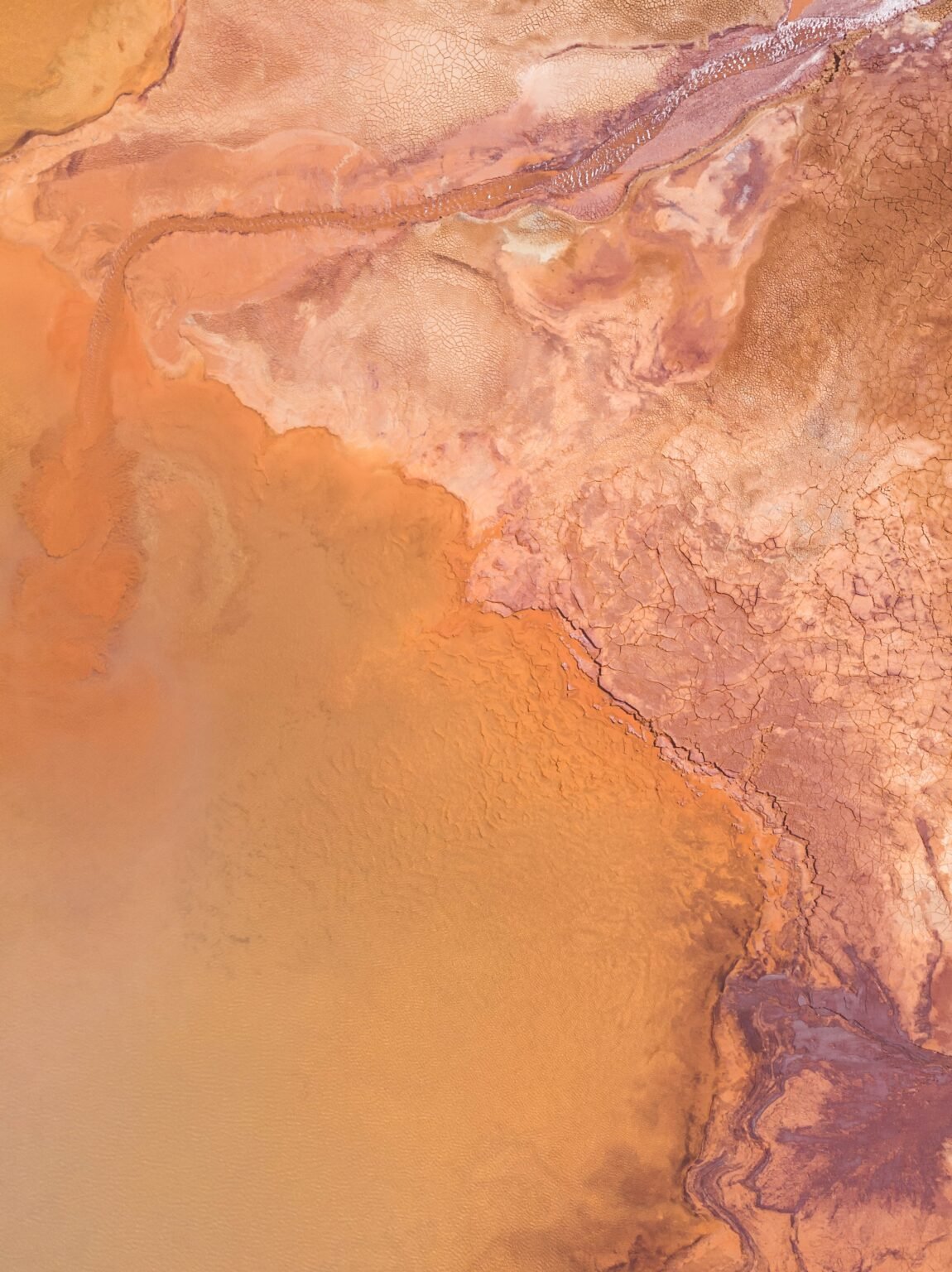 Magnesium A Mighty Mineral In Kidney Stone Prevention Oxalate Facts