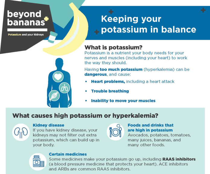 Potassium And Kidney Stones A Balancing Act Oxalate Facts