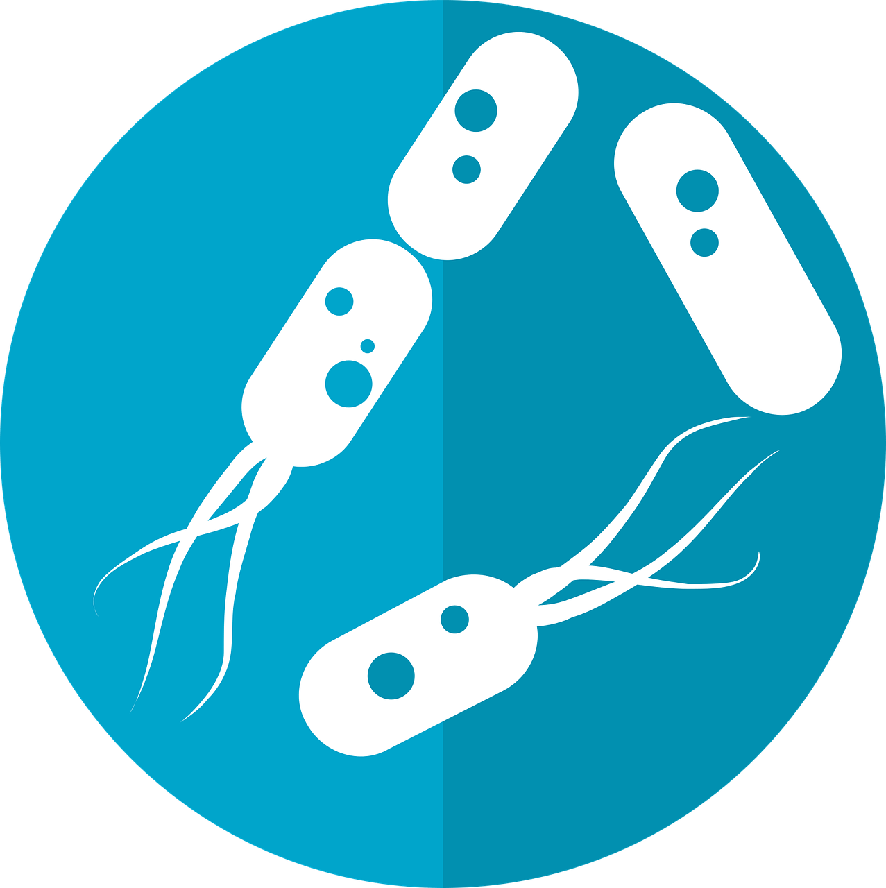 Gut Health And Oxalates: The Future Of Gut Health Research