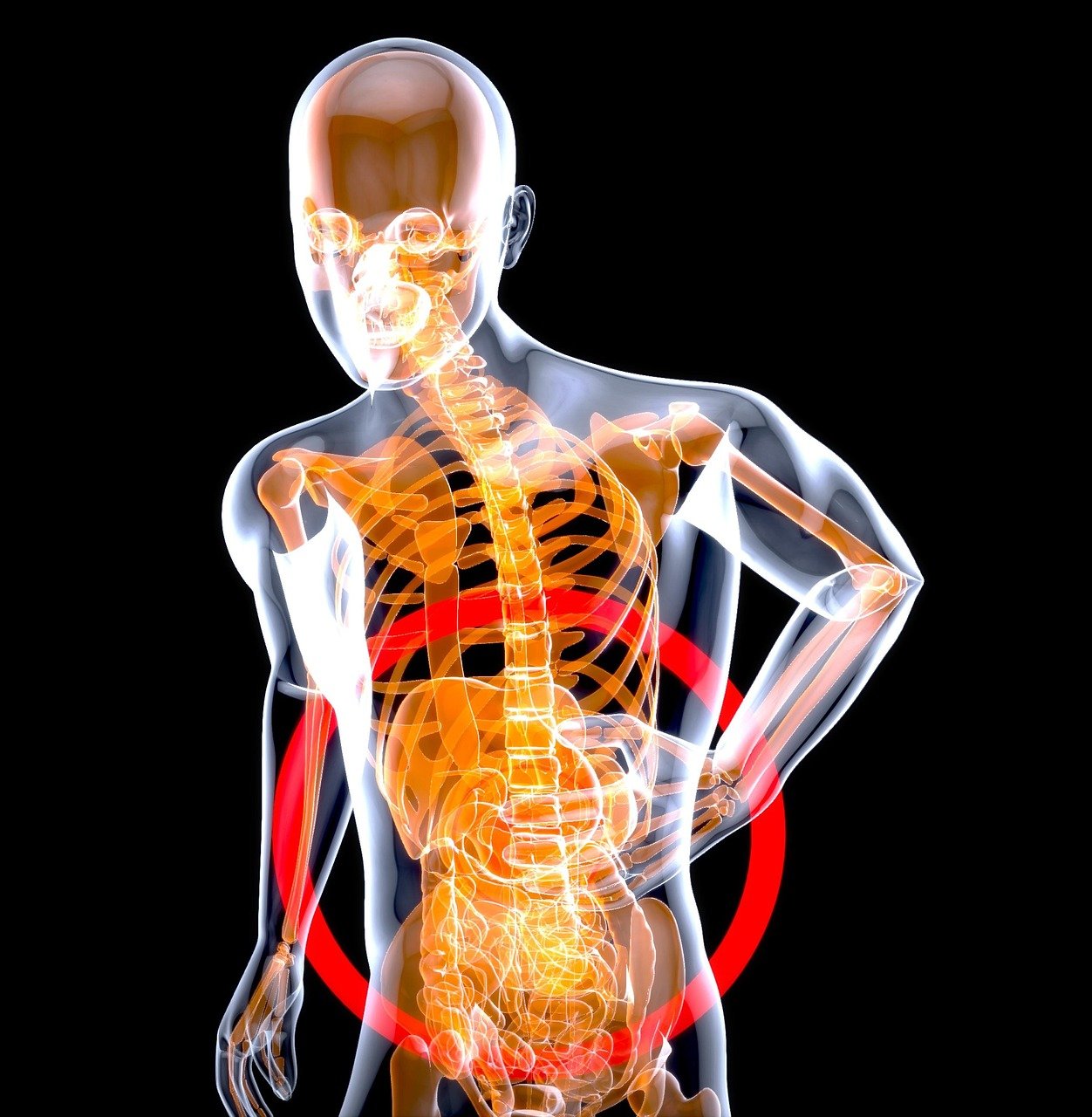 Why Oxalates Are More Harmful When Your Gut Is Out Of Balance