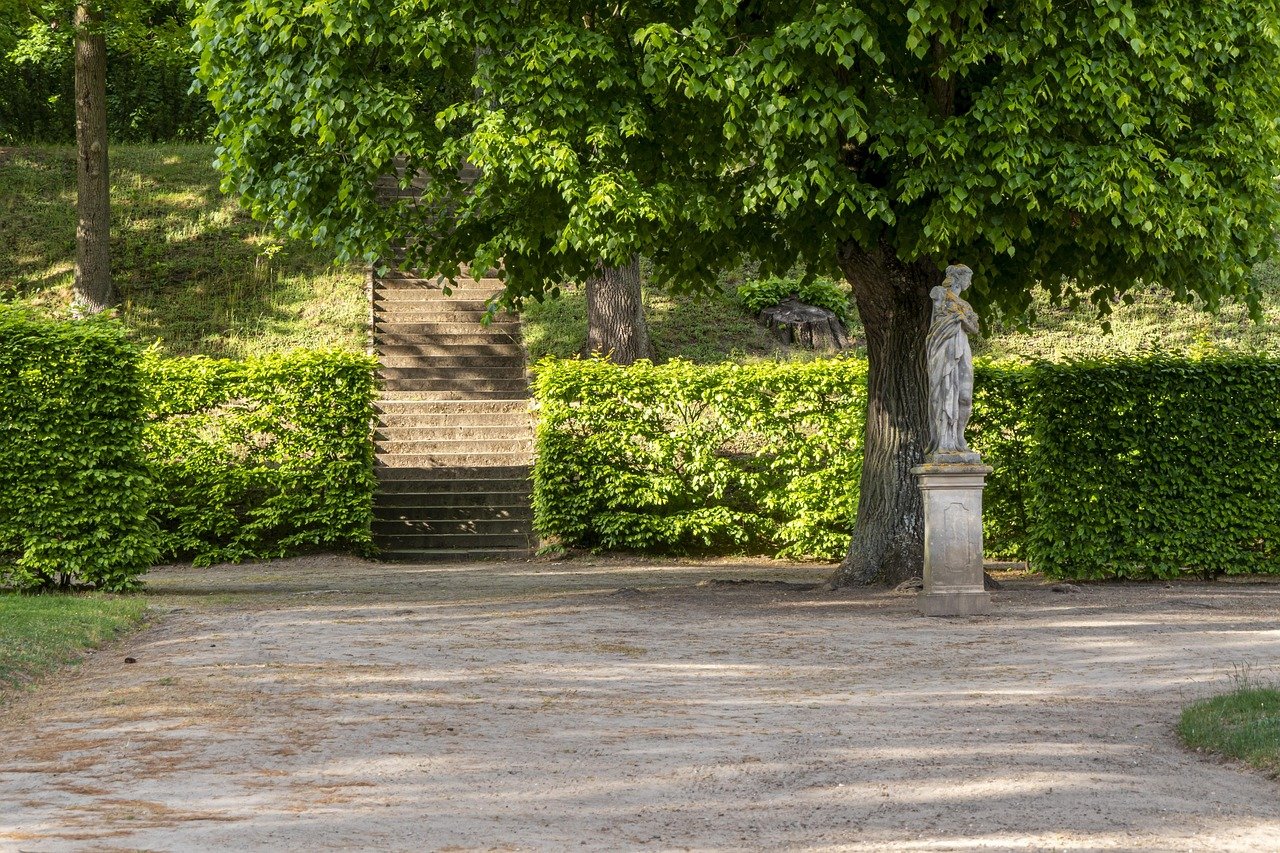 Gradually Reducing Oxalates Without Triggering Dumping — 3 Proven