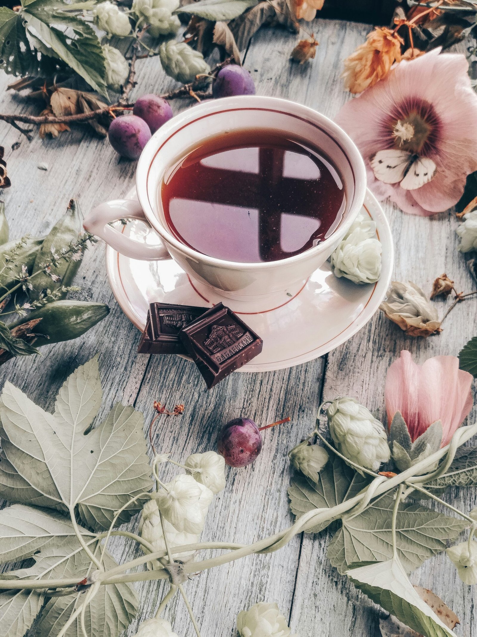 Oxalates in Coffee, Tea, and Chocolate: What’s Safe? — 7 Proven