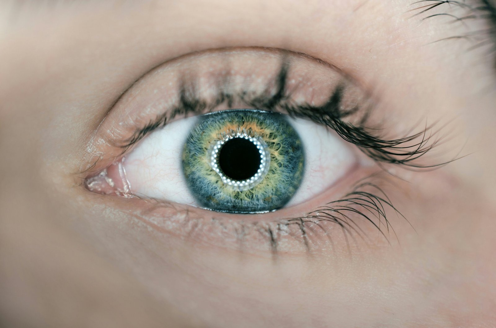 Are Oxalates Affecting Your Eye Health? The Ultimate Guide