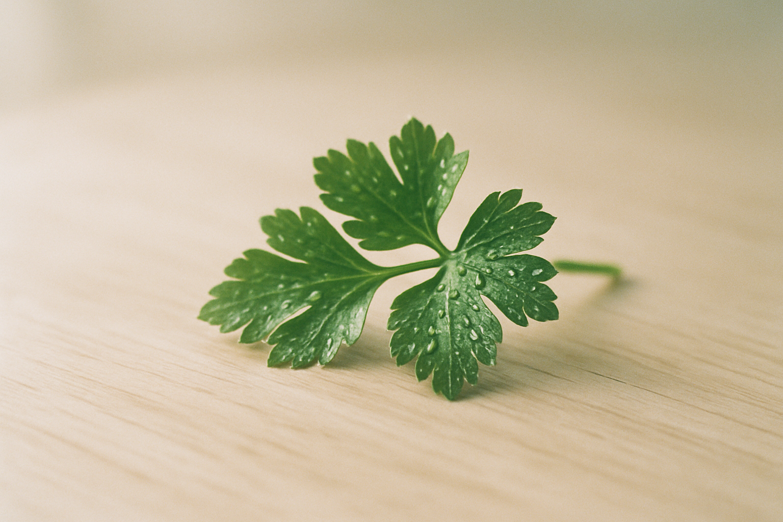 Gentle Detox Methods That May Support Oxalate Balance