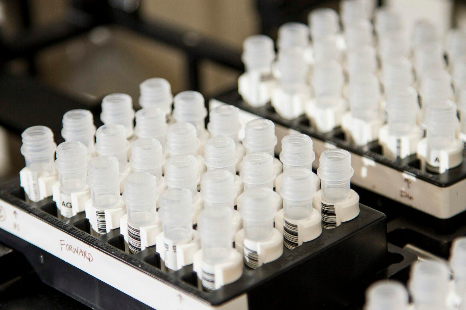How To Track Oxalate Progress Without Lab Testing