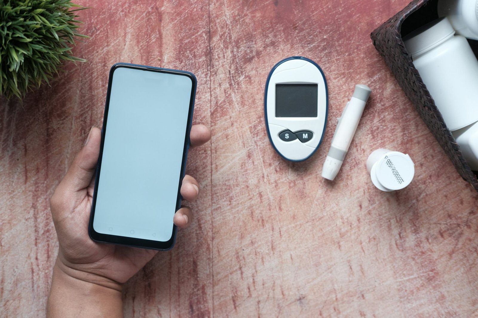 Can Oxalates Influence Blood Sugar And Insulin Resistance?